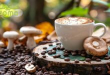 قهوة المشروم